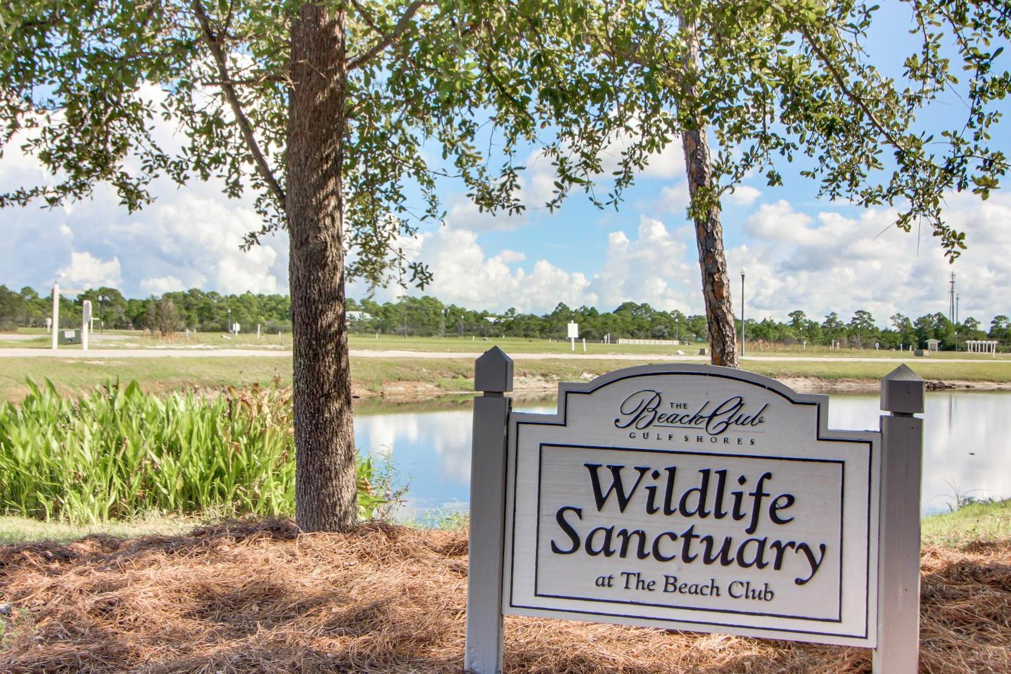 The Beach Club Resort And Spa Gulf Shores Quarto foto